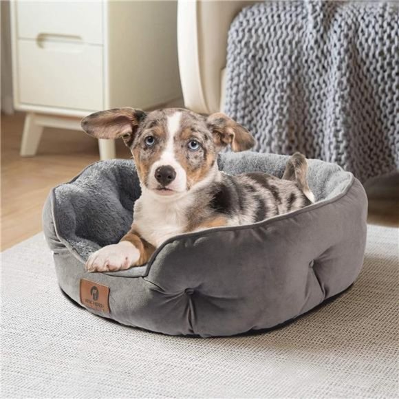 Small Dog Bed for Small Dogs, Cat Beds for Indoor Cats,Pet Bed for Puppy & Kitty - Picture 6 of 6